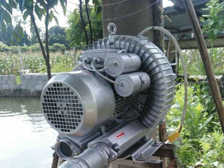 Blower for aquaculture aerobic aeration