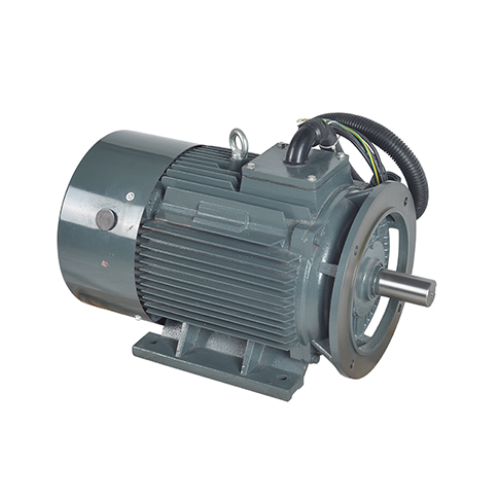 Screw machine motor 22kw