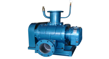  Roots Vacuum Pump