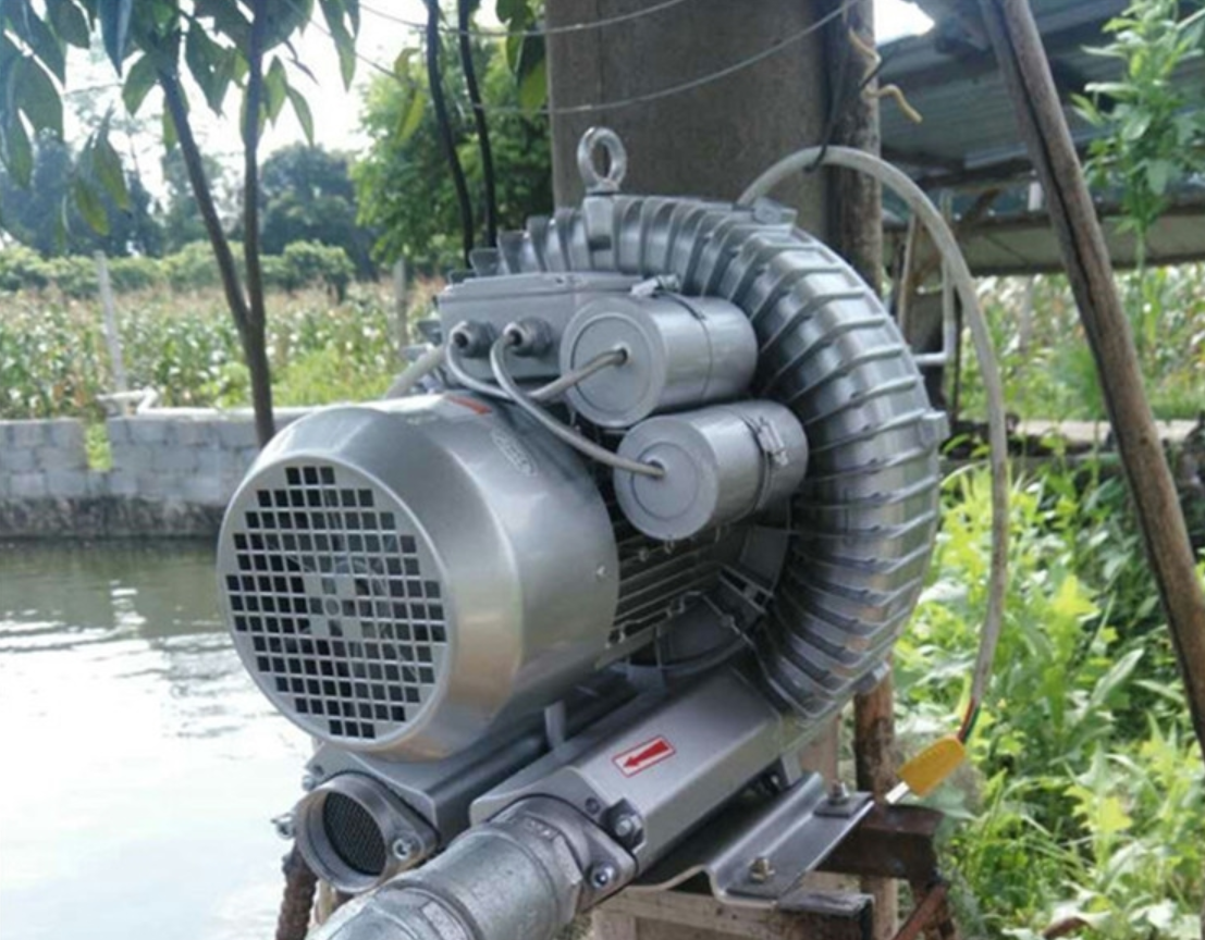 Blower for aquaculture aerobic aeration(图1)