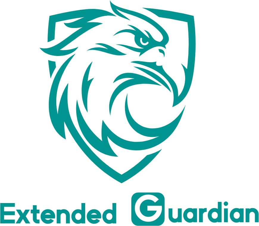Extended Guardian(图1)